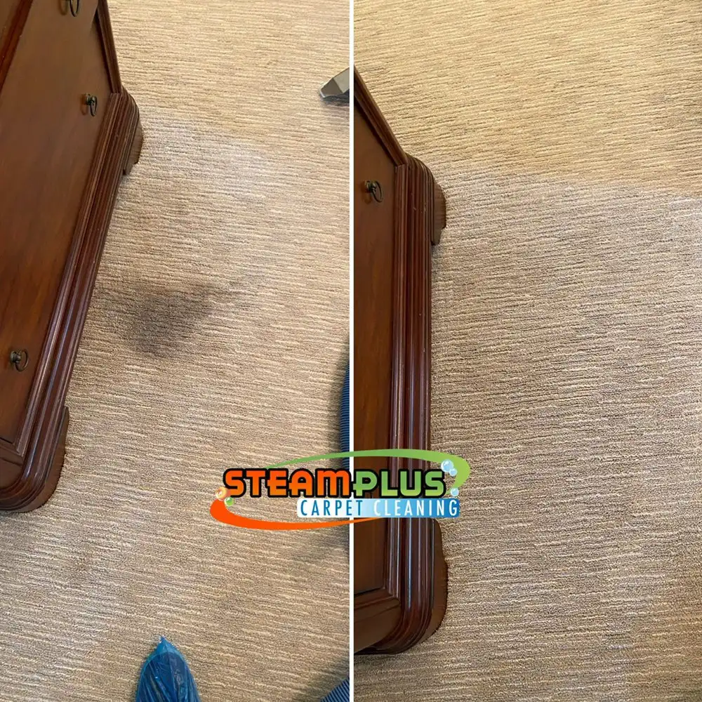 Before After Steamplus cleaning (14) Before After Steamplus cleaning (14)